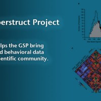 Brain Genomics Superstruct Project