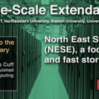 NESE: Large-Scale Extendable Storage