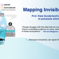 Mapping Invisible Ocean Pollutants: Prof Eslie Sunderland's lab seeks to build a picture os pollutants which threaten oceans.