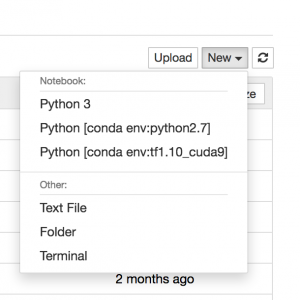 Image showing Jupyter graphical environment and Conda kernels selection