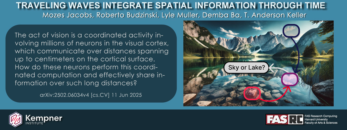 Traveling Waves Integrate Spatial Information Through Time. https://kempnerinstitute.harvard.edu/research/deeper-learning/traveling-waves-integrate-spatial-information-through-time/
